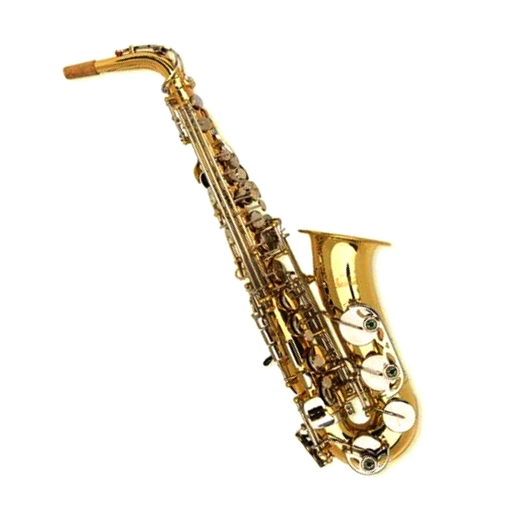 Sinclair Alto Saxophone Outfit - SAS2300