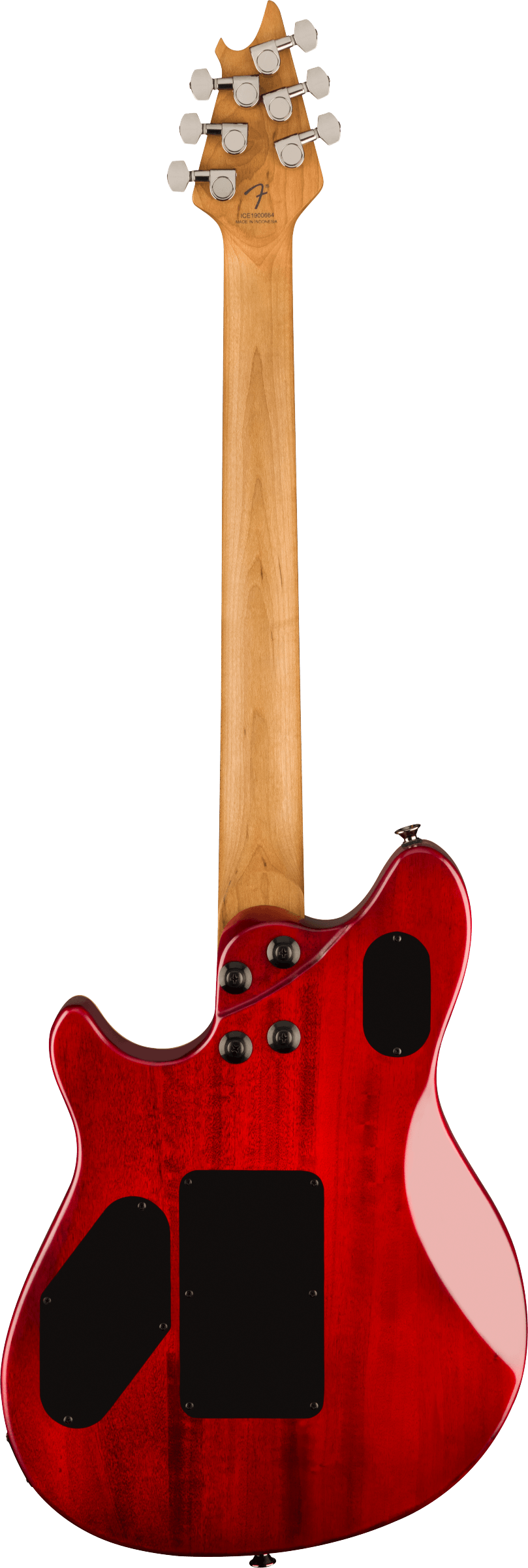 EVH Guitars - Wolfgang® WG Standard Exotic Zebrawood