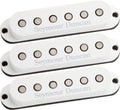 Seymour Duncan - Custom Staggered Strat SSL-5 Calibrated Pickup Set