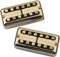 Seymour Duncan - Psyclone Hot Filter'Tron Alnico 5 Neck/Bridge Pickup Set, Gold