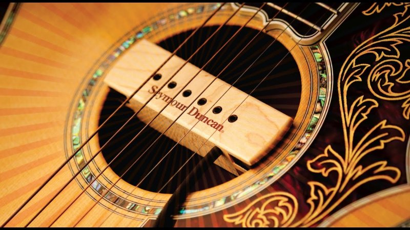 Seymour Duncan - Woody Single Coil Acoustic Soundhole Pickup, Walnut