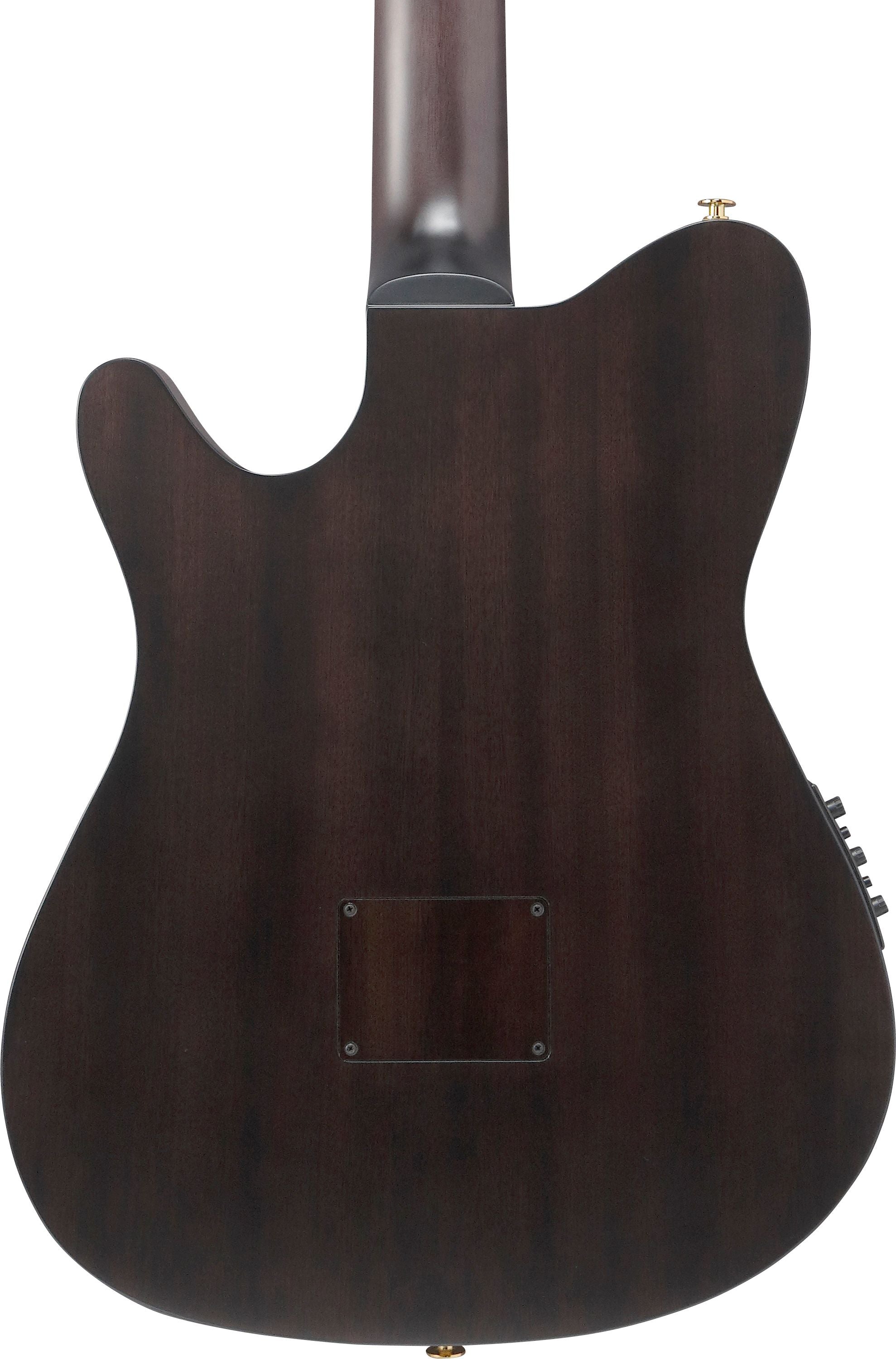 Ibanez Guitars - FRH20FMN - Thinline Nylon-string Acoustic-electric - Dark Emerald Burst Low Gloss