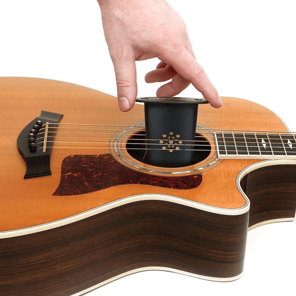 D'Addario - Acoustic Guitar Soundhole Humidifier