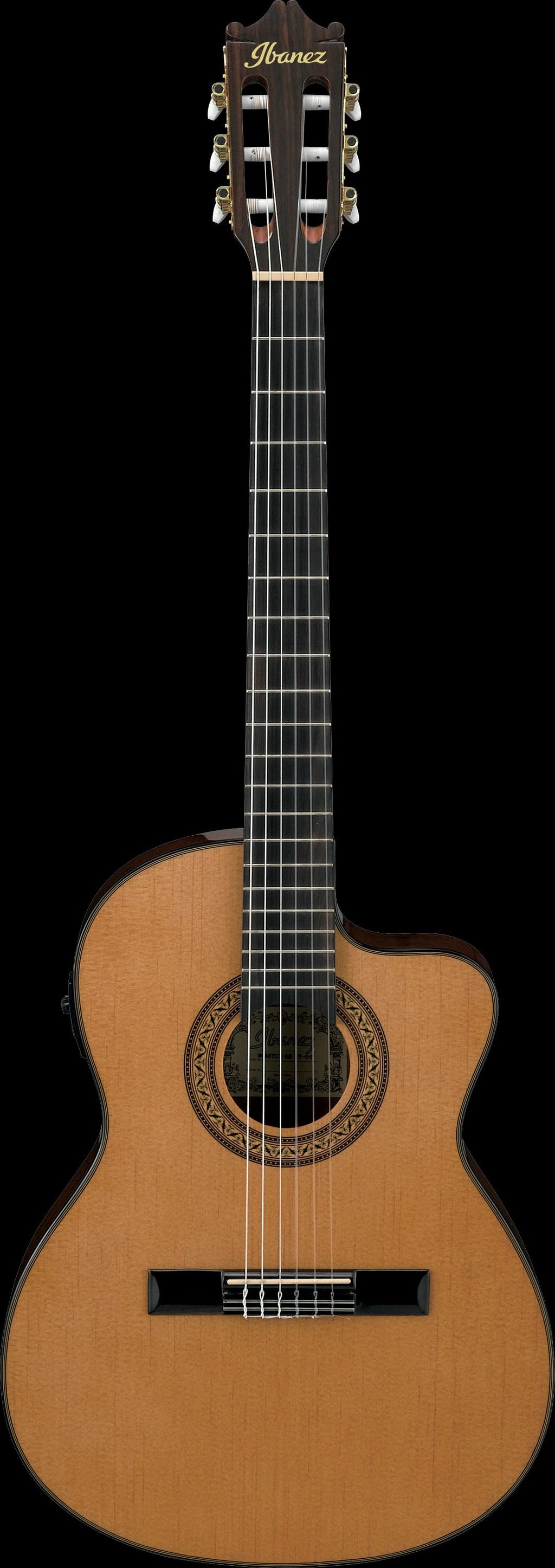 Ibanez - Guitars - GA5TCE - Thinline Classical Cutaway Guitar