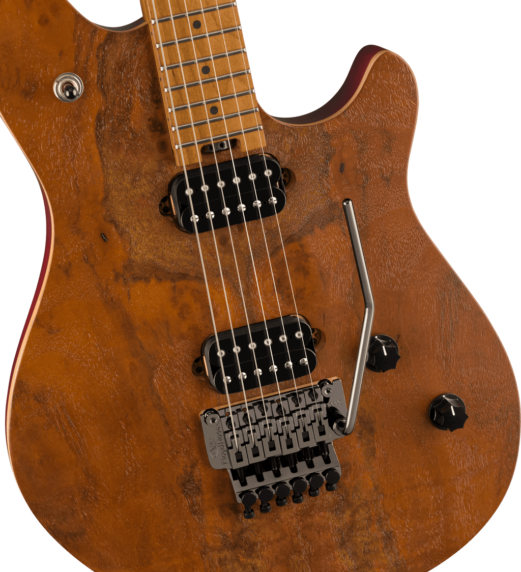 EVH - Wolfgang® WG Standard Exotic Black Walnut