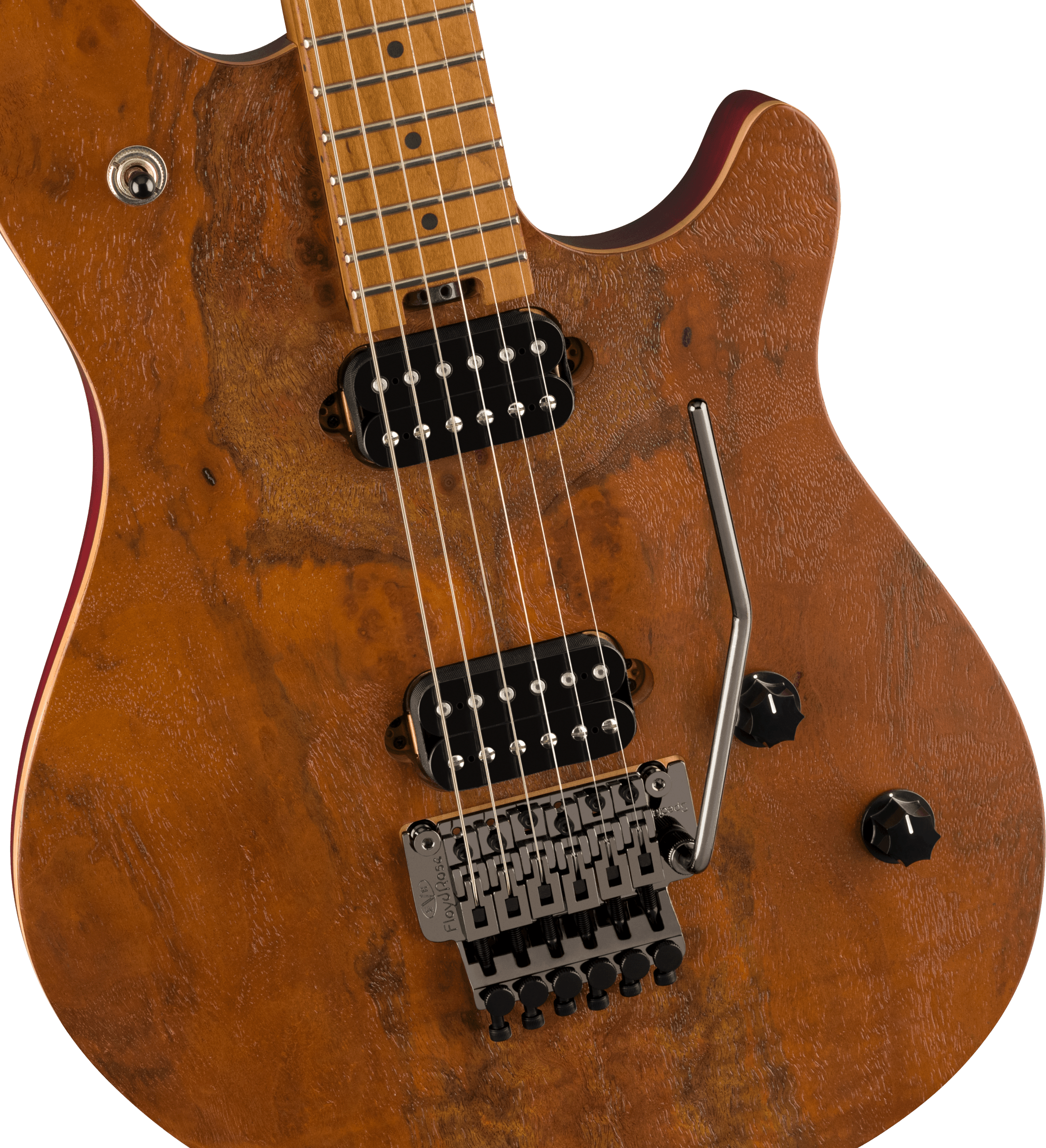 EVH - Wolfgang® WG Standard Exotic Black Walnut