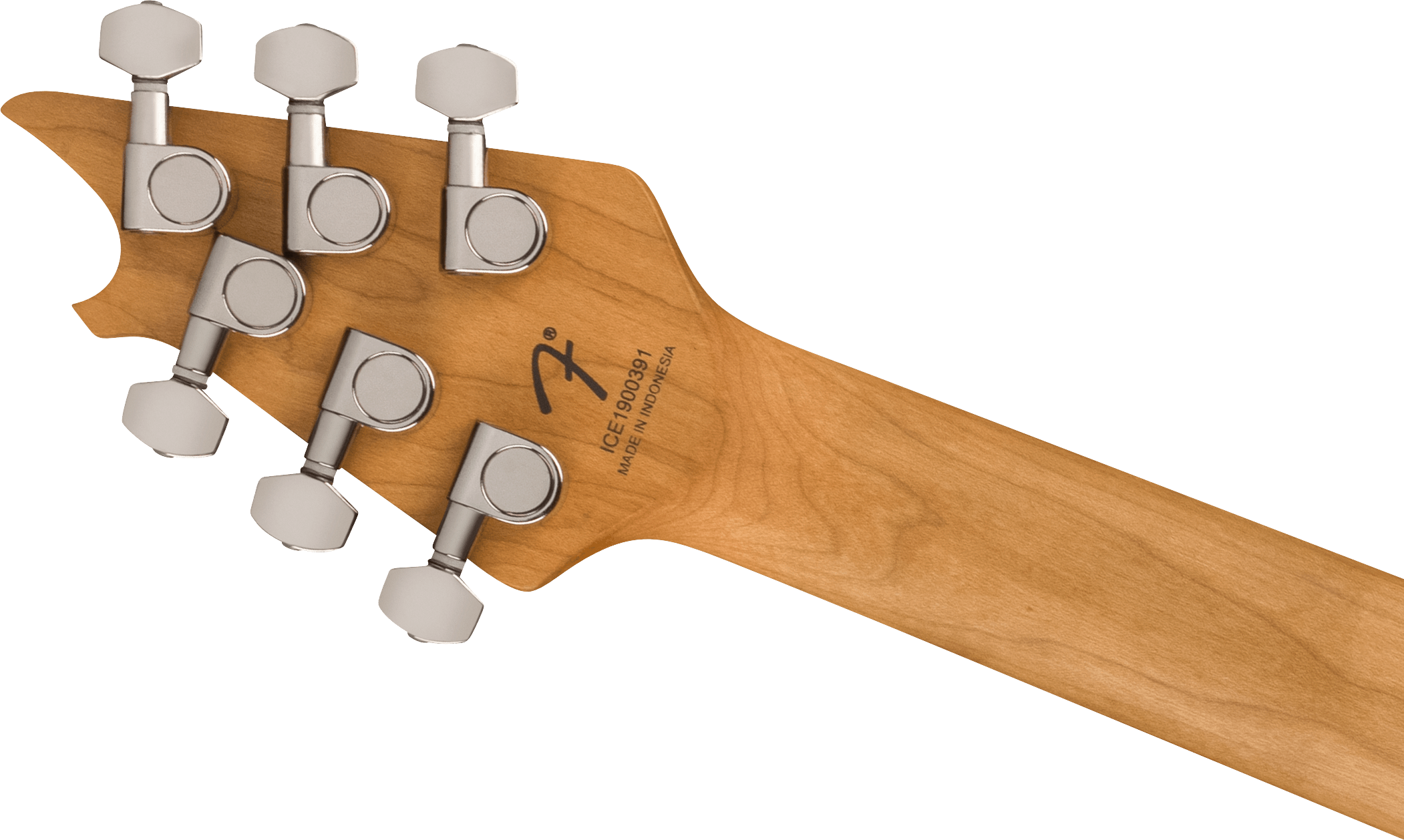 EVH - Wolfgang® WG Standard Exotic Black Walnut