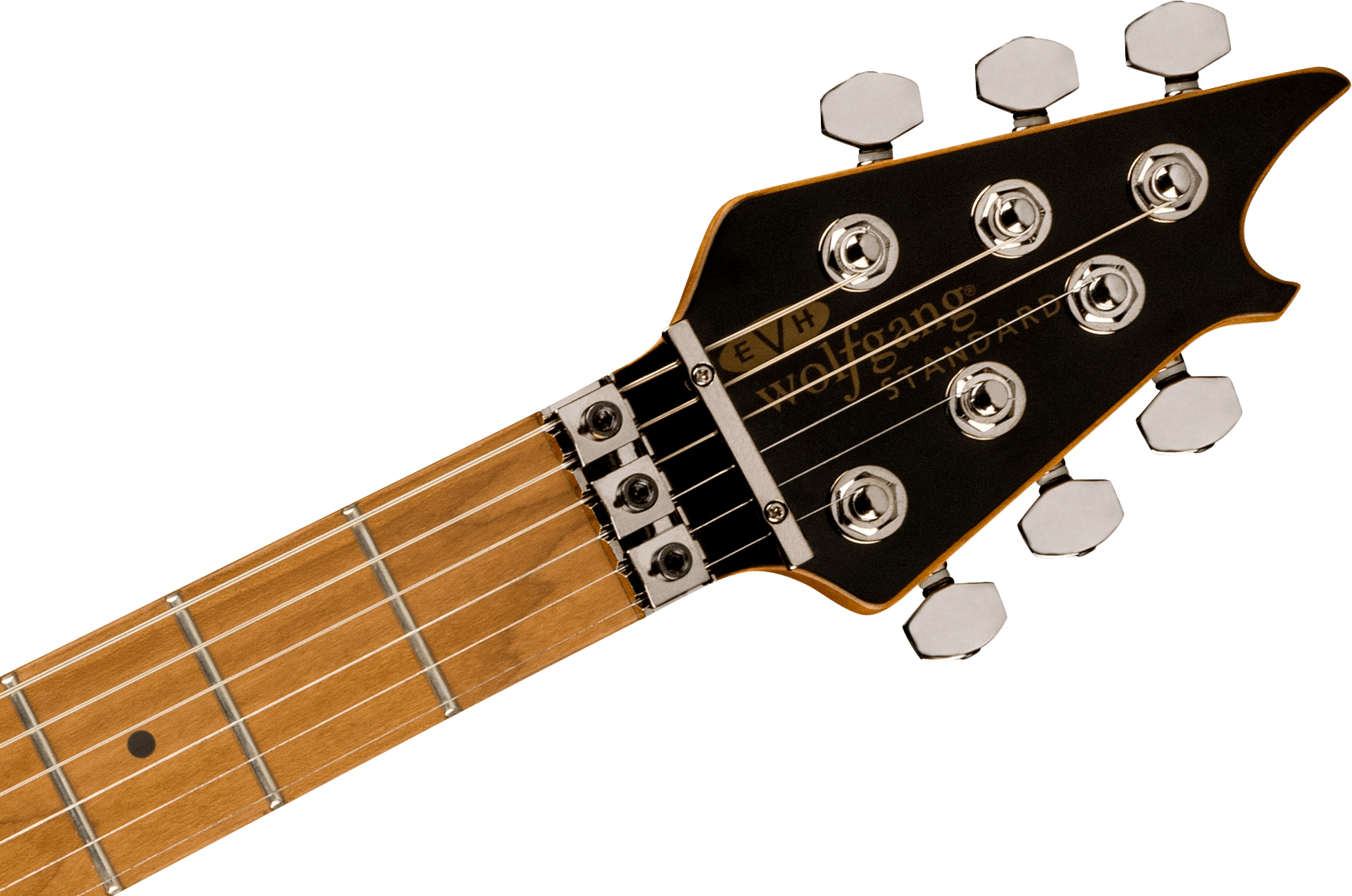EVH - Wolfgang® WG Standard Exotic Black Walnut