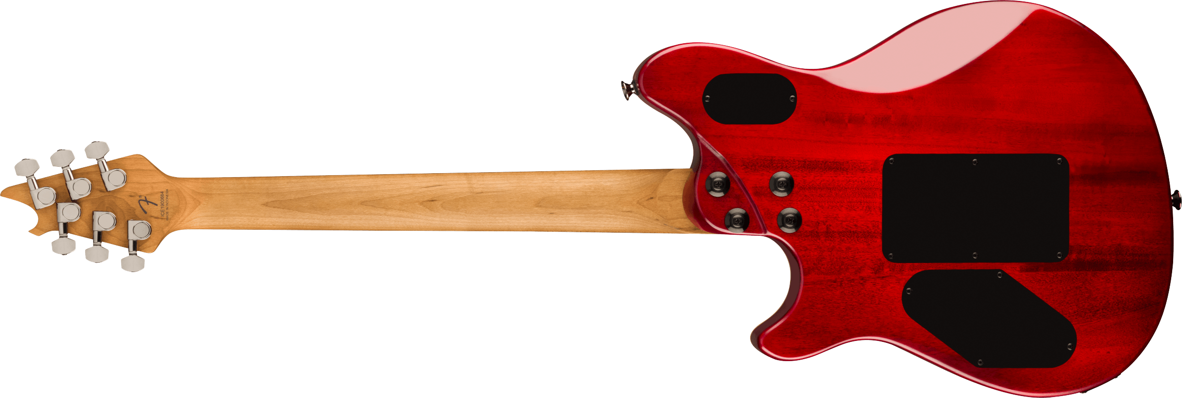 EVH - Wolfgang® WG Standard Exotic Zebrawood