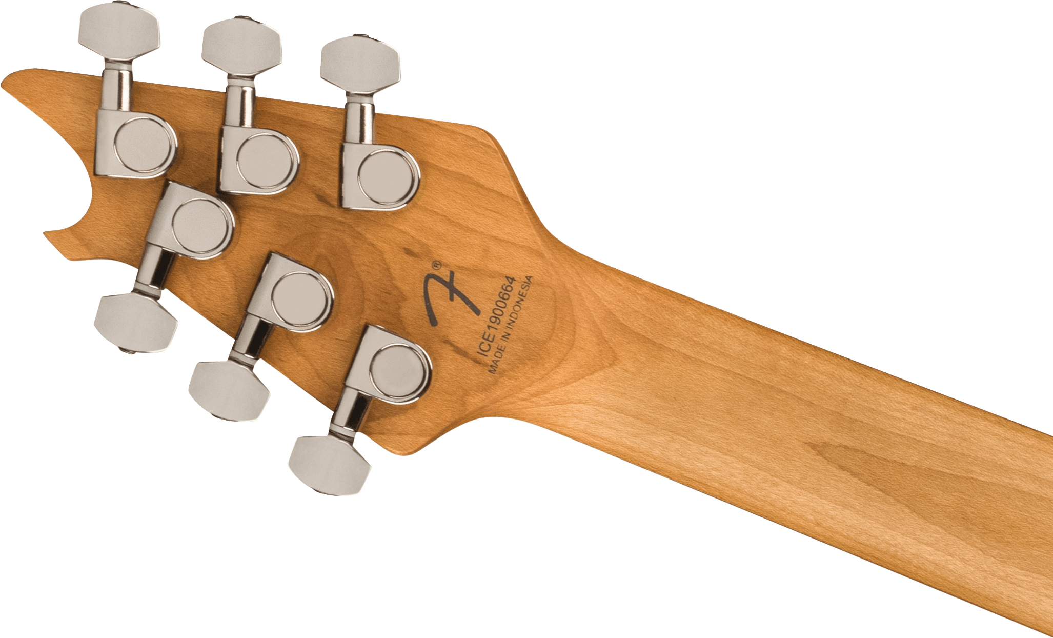 EVH - Wolfgang® WG Standard Exotic Zebrawood