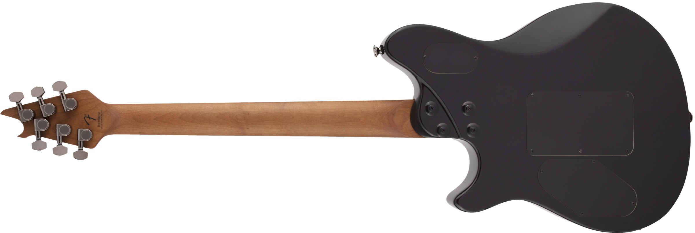 EVH - Wolfgang® WG Standard