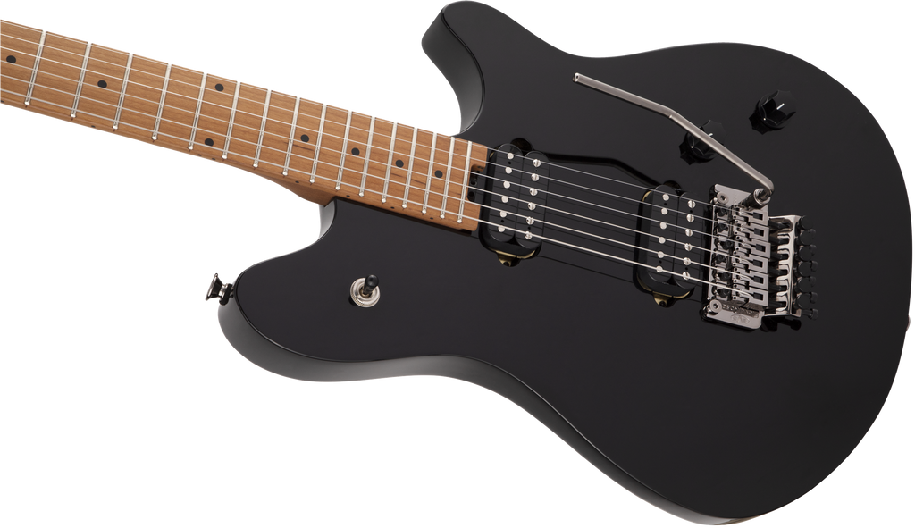 EVH - Wolfgang® WG Standard