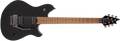 EVH - Wolfgang® WG Standard