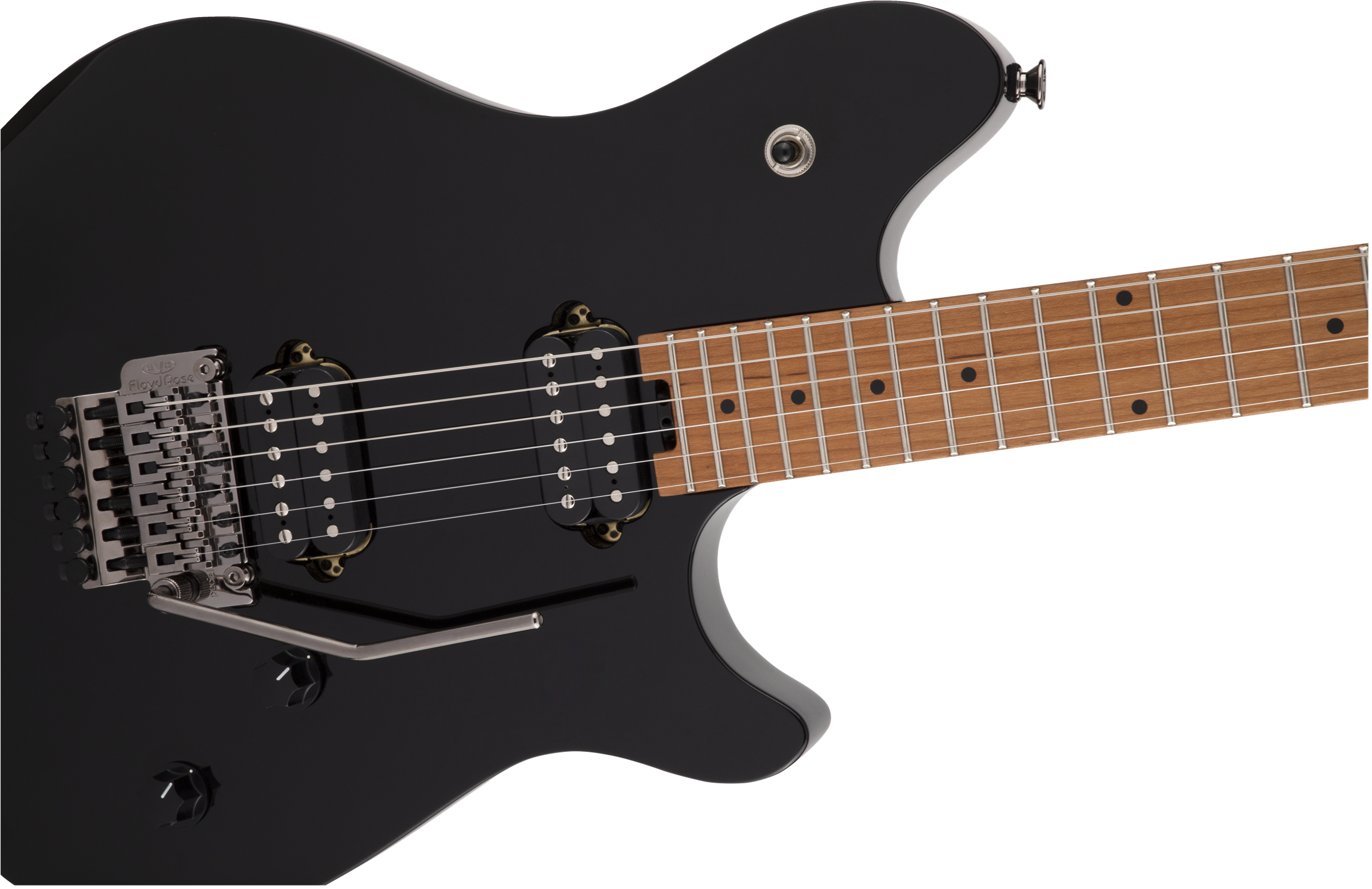 EVH - Wolfgang® WG Standard