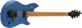 EVH - Wolfgang® WG Standard