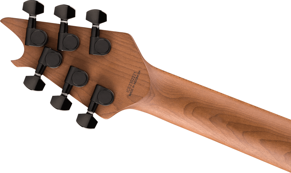 EVH - Wolfgang® WG Standard