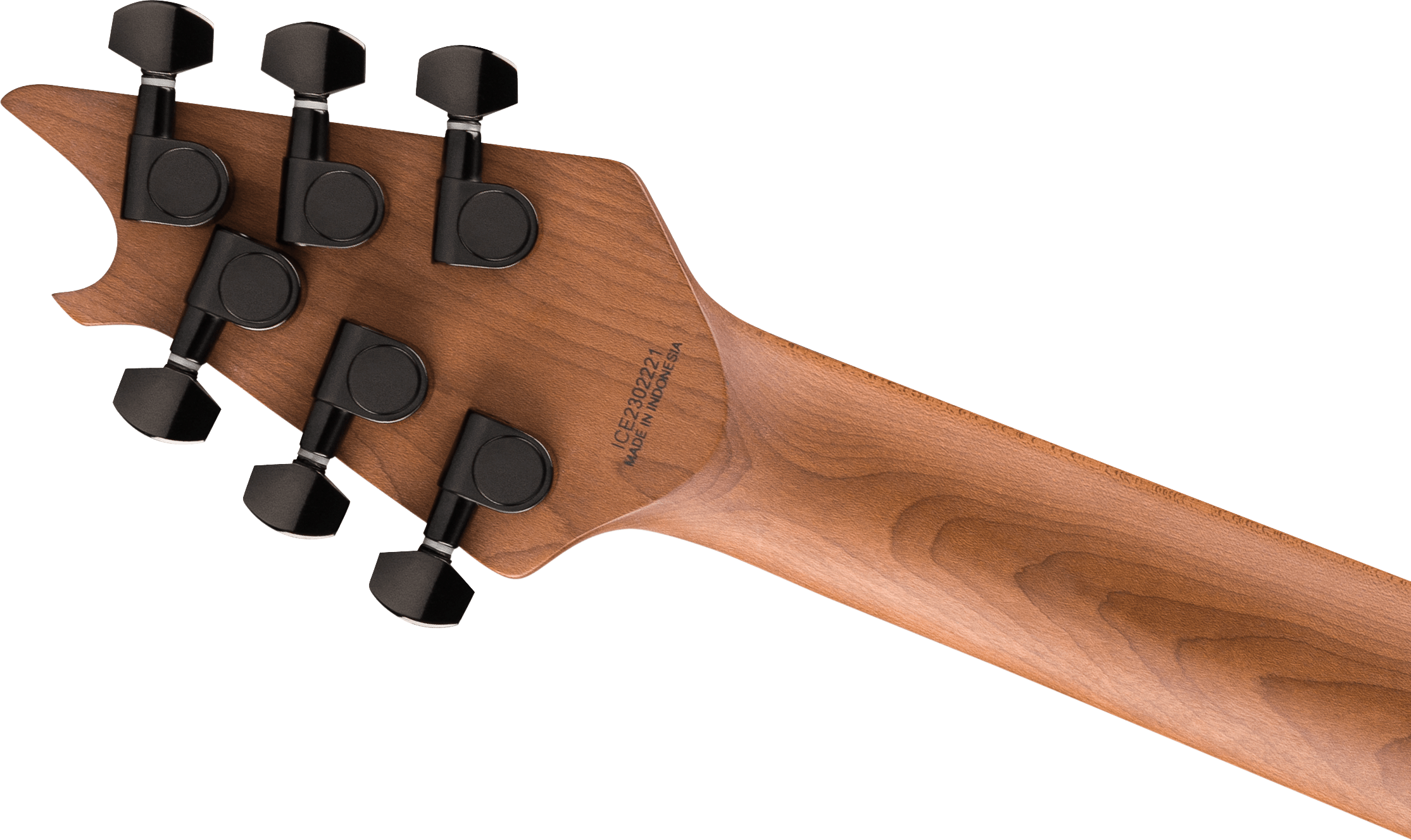 EVH - Wolfgang® WG Standard