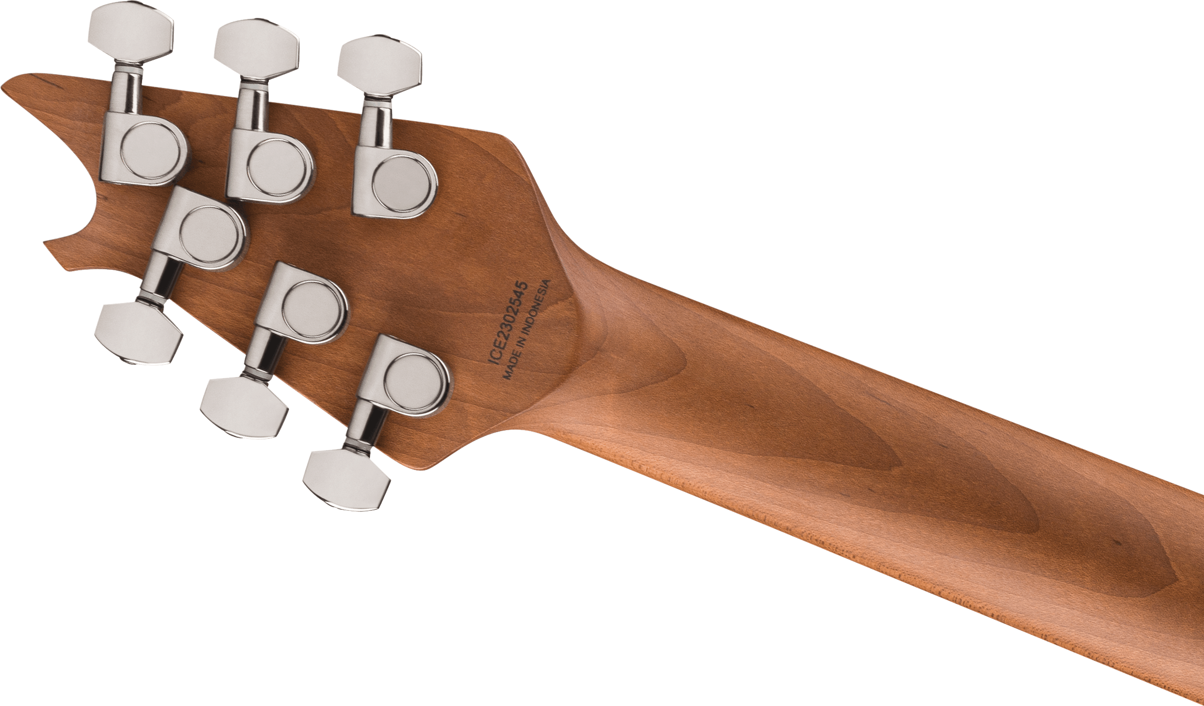 EVH - Wolfgang® WG Standard M