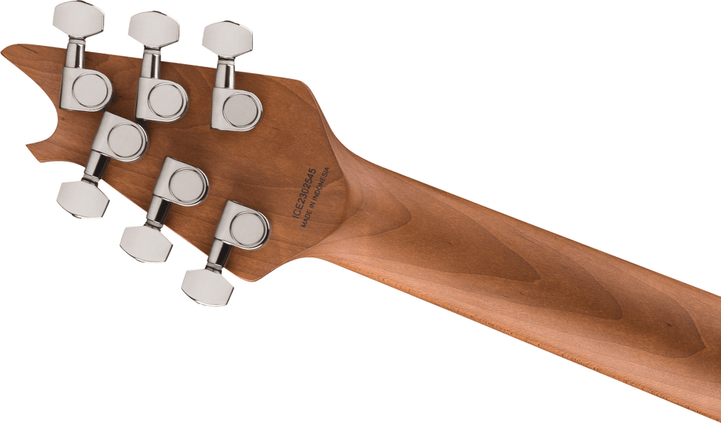 EVH - Wolfgang® WG Standard M