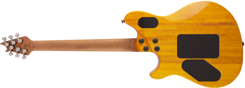 EVH - Wolfgang® WG Standard QM