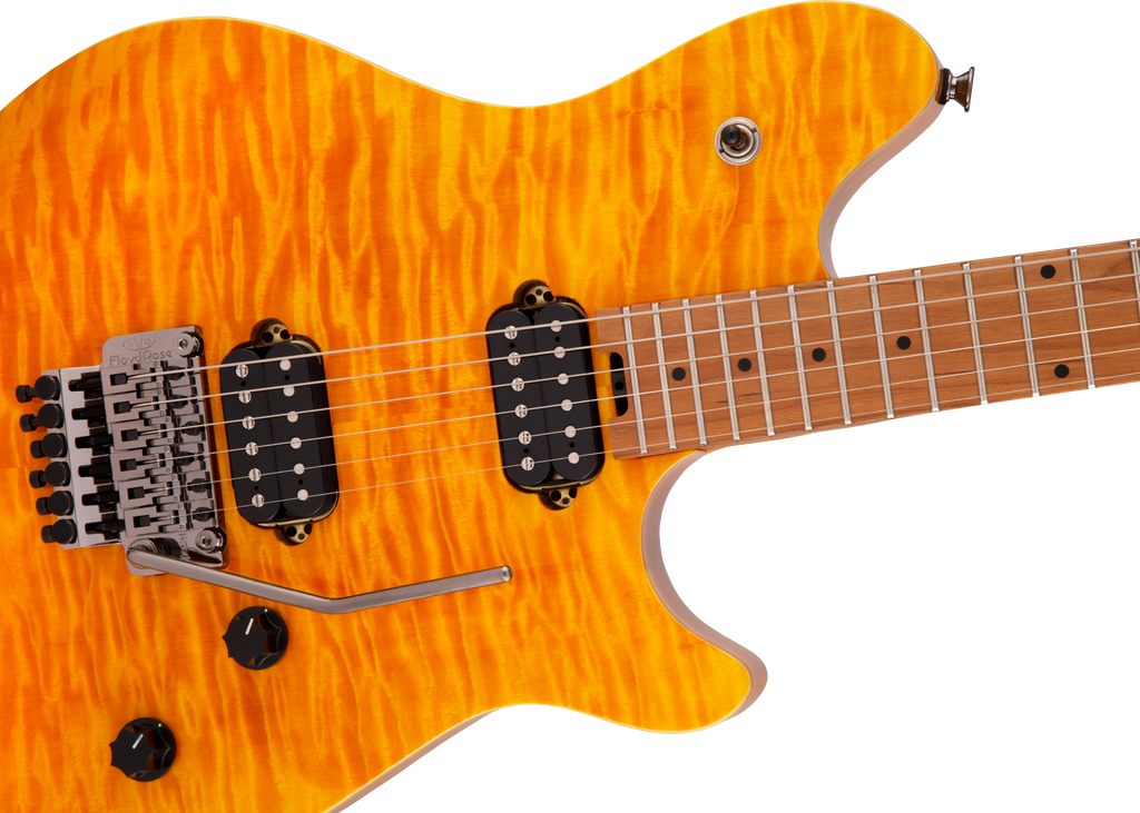 EVH - Wolfgang® WG Standard QM
