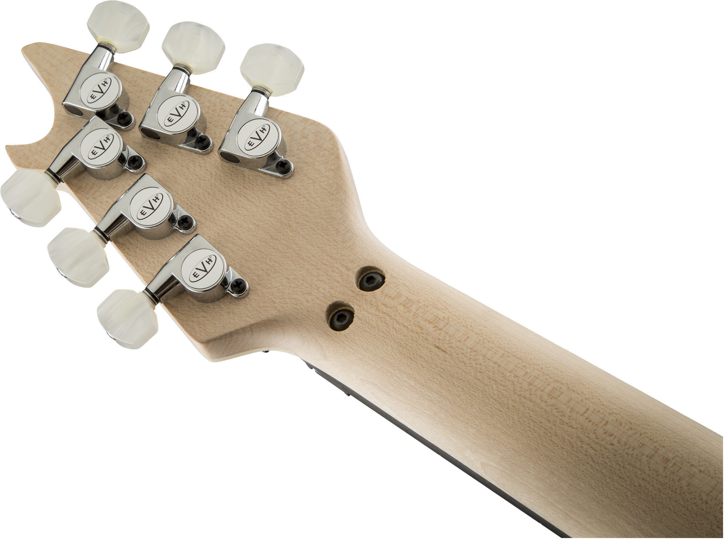EVH - Wolfgang® USA