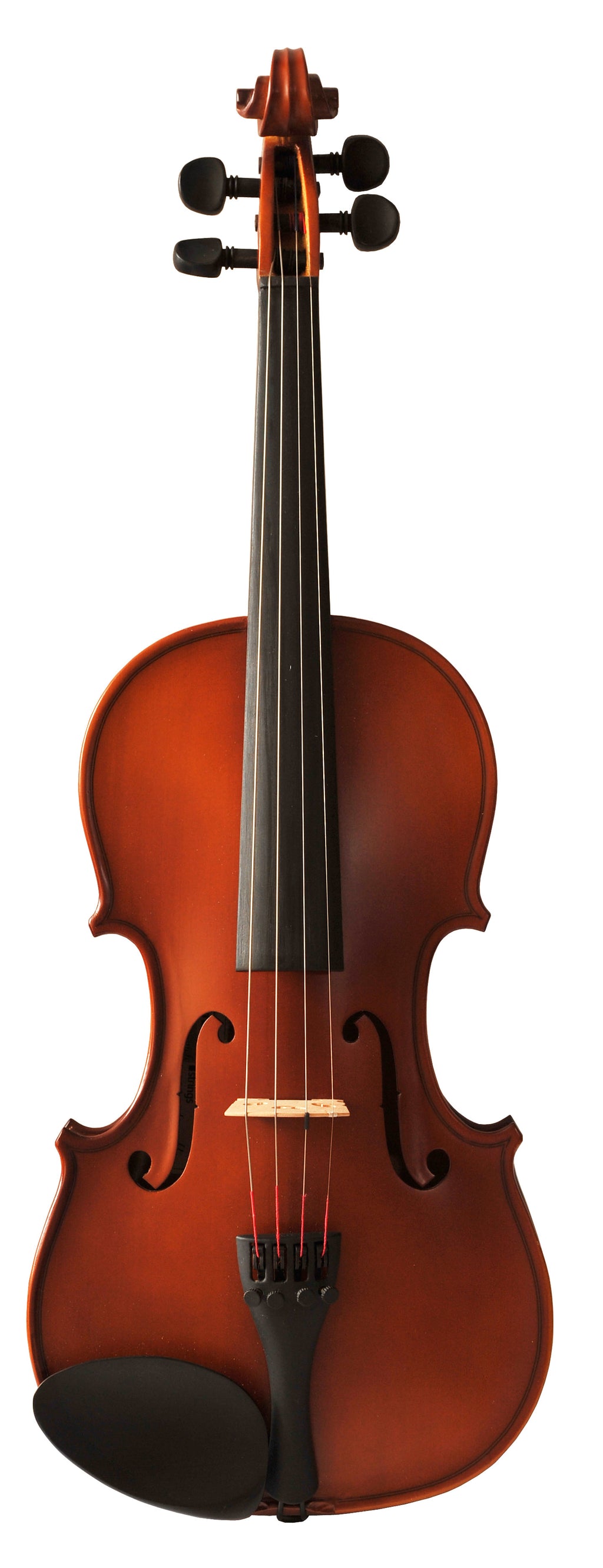 GEWA - PURE Hardwood Violin Outfit