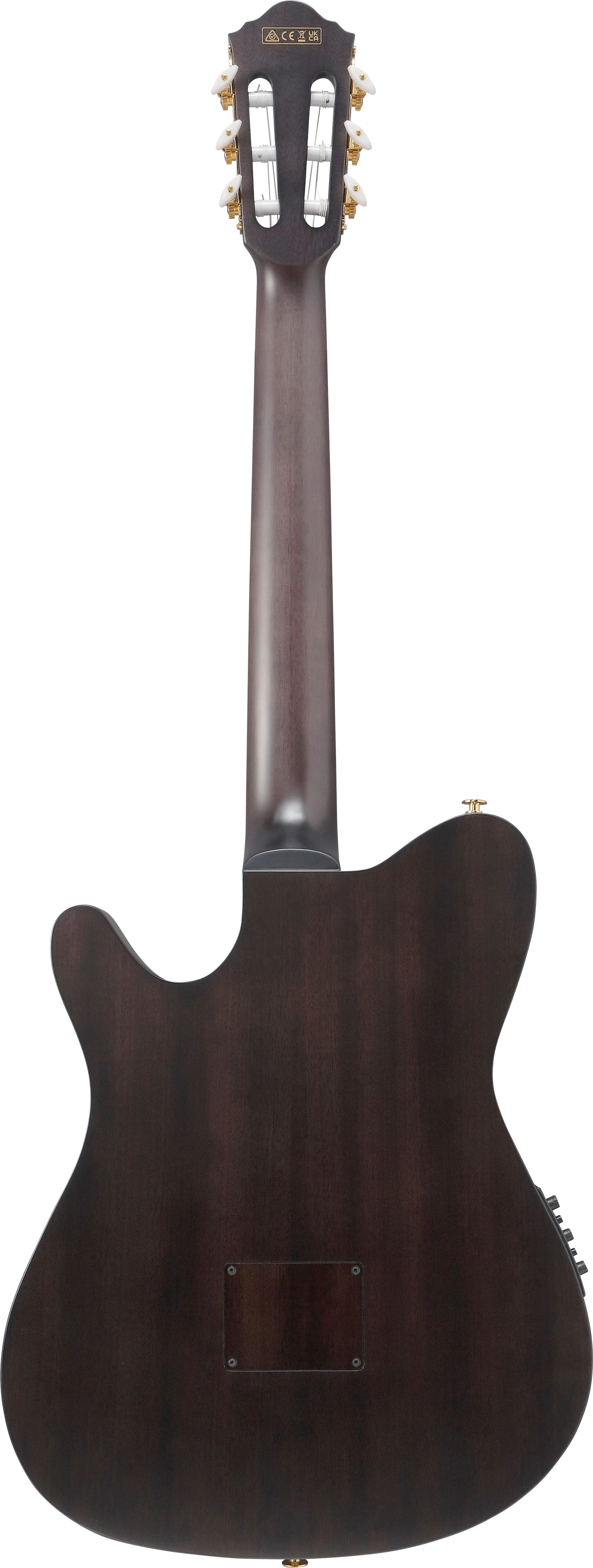 Ibanez Guitars - FRH20FMN - Thinline Nylon-string Acoustic-electric - Dark Emerald Burst Low Gloss