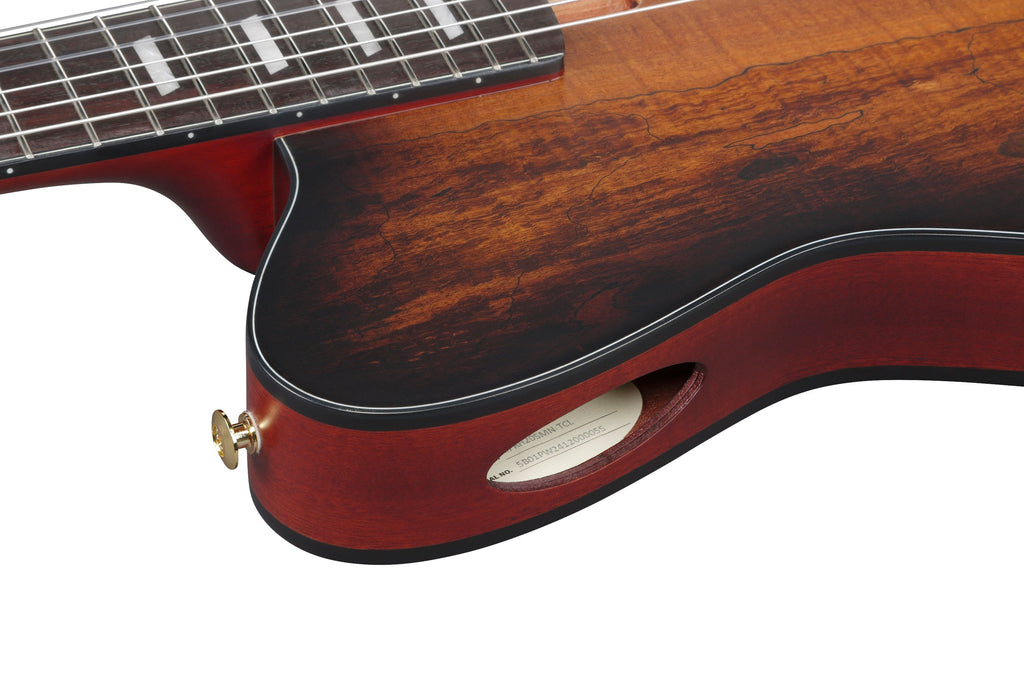 Ibanez Guitars - FRH20SMN - Thinline Nylon-string Acoustic-electric - Tobacco Burst Low Gloss