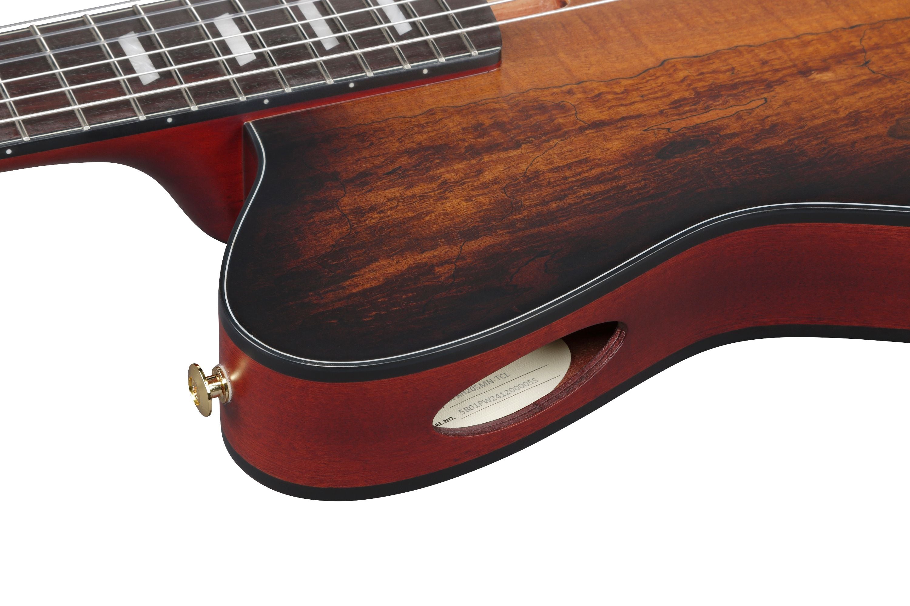 Ibanez Guitars - FRH20SMN - Thinline Nylon-string Acoustic-electric - Tobacco Burst Low Gloss