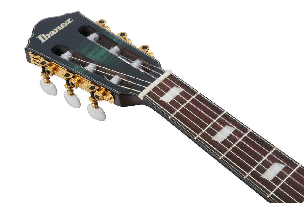 Ibanez Guitars - FRH20FMN - Thinline Nylon-string Acoustic-electric - Dark Emerald Burst Low Gloss