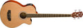 Washburn - 4-string Acoustic Bass Guitar, Natural