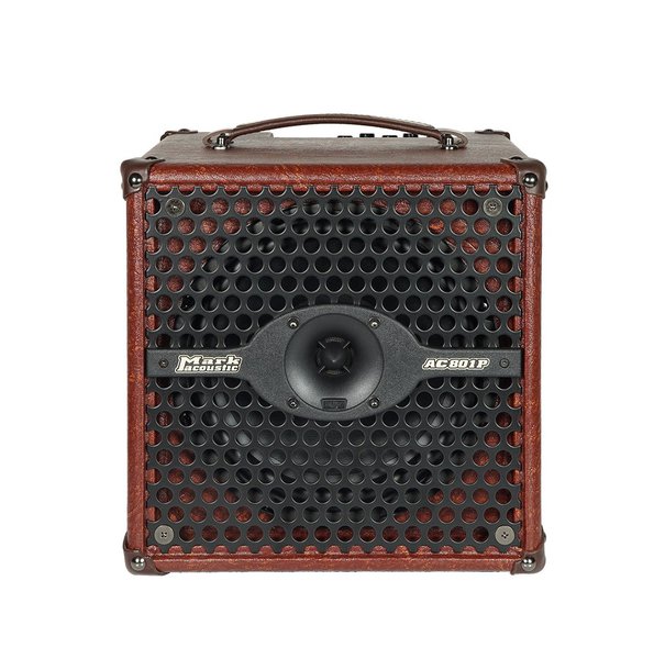 DV Mark - 50w Acoustic Combo Amp