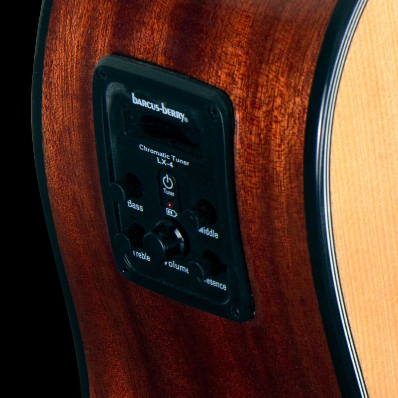 Washburn - Spruce Top Acoustic Guitar Pack With Case, Natural