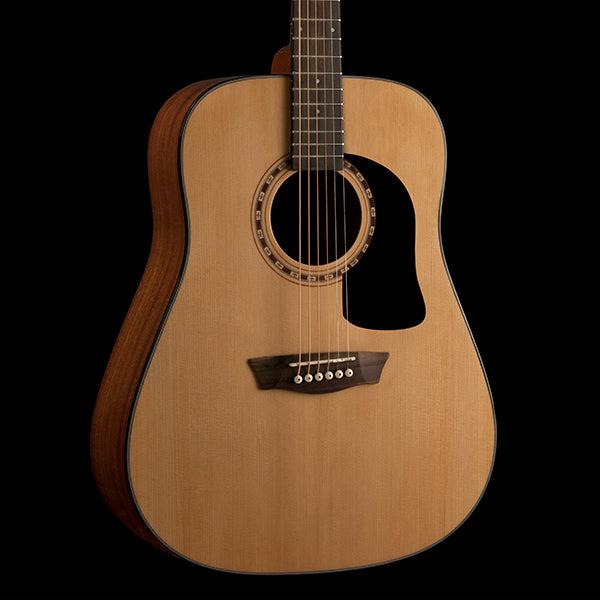 Washburn - Apprentice 5 Series Dreadnought Acoustic Guitar w/ Hard Case, Natural