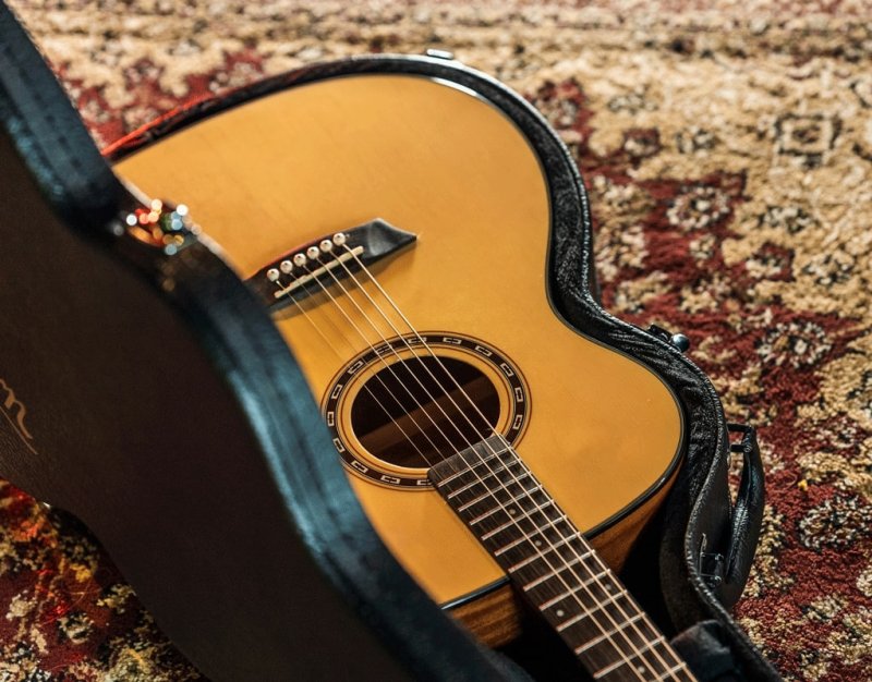Washburn - Apprentice 5 Dreadnought Acoustic Guitar With Hard Case, Natural