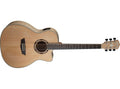 Washburn - Apprentice Series 6 String Acoustic Electric Guitar in Natural