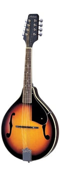 Alabama - Style A Mandolin in Tobacco Sunburst