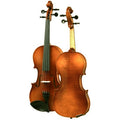 Intermediate Violin