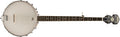 Washburn - Americana Series 5-String Open Back Banjo