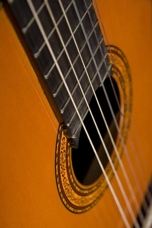 Washburn - Nylon-string Classical Acoustic Guitar with Spruce Top, Catalpa Back and Sides, Mahogany Neck