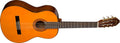 Washburn - Nylon-string Classical Acoustic Guitar with Spruce Top, Catalpa Back and Sides, Mahogany Neck