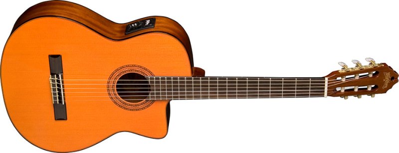 Washburn - 6-string Acoustic-electric Nylon-string Classical Guitar with Catalpa Back and Sides - Natural
