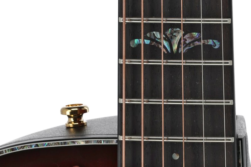 Ovation - Celebrity Exotic Selection Acoustic / Electric Guitar, Eucalyptus Sunburst