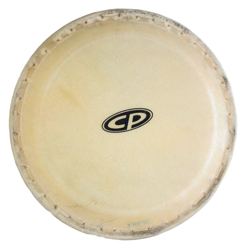 Latin Percussion - 10-Inch Rawhide Conga Head for CP636-WRB