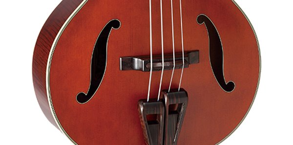 Takamine - Legacy Series Acoustic-Electric Upright Bass, Red Stain