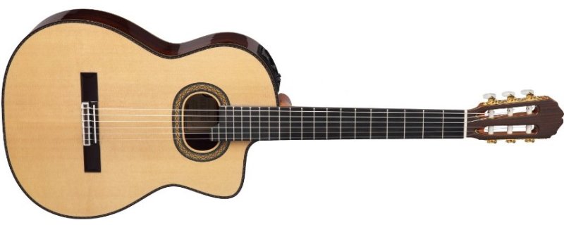 Takamine - Pro Series Hirade Acoustic-Electric Classical Guitar with Case, Natural
