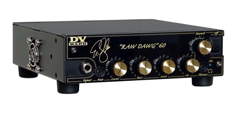 DV Mark - Eric Gales Signature 60W Amp Head