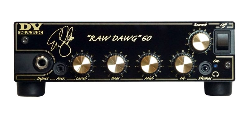 DV Mark - Eric Gales Signature 60W Amp Head
