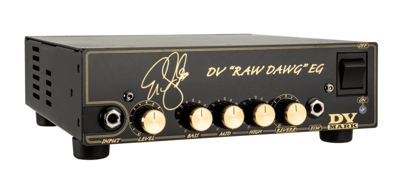 DV Mark - Eric Gales EG RAW DAWG Signature 250W Tube Amp Head